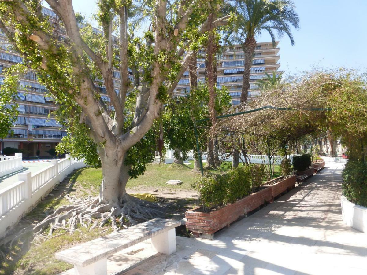 Apartament Family And Friends - San Juan Playa Alicante Zewnętrze zdjęcie