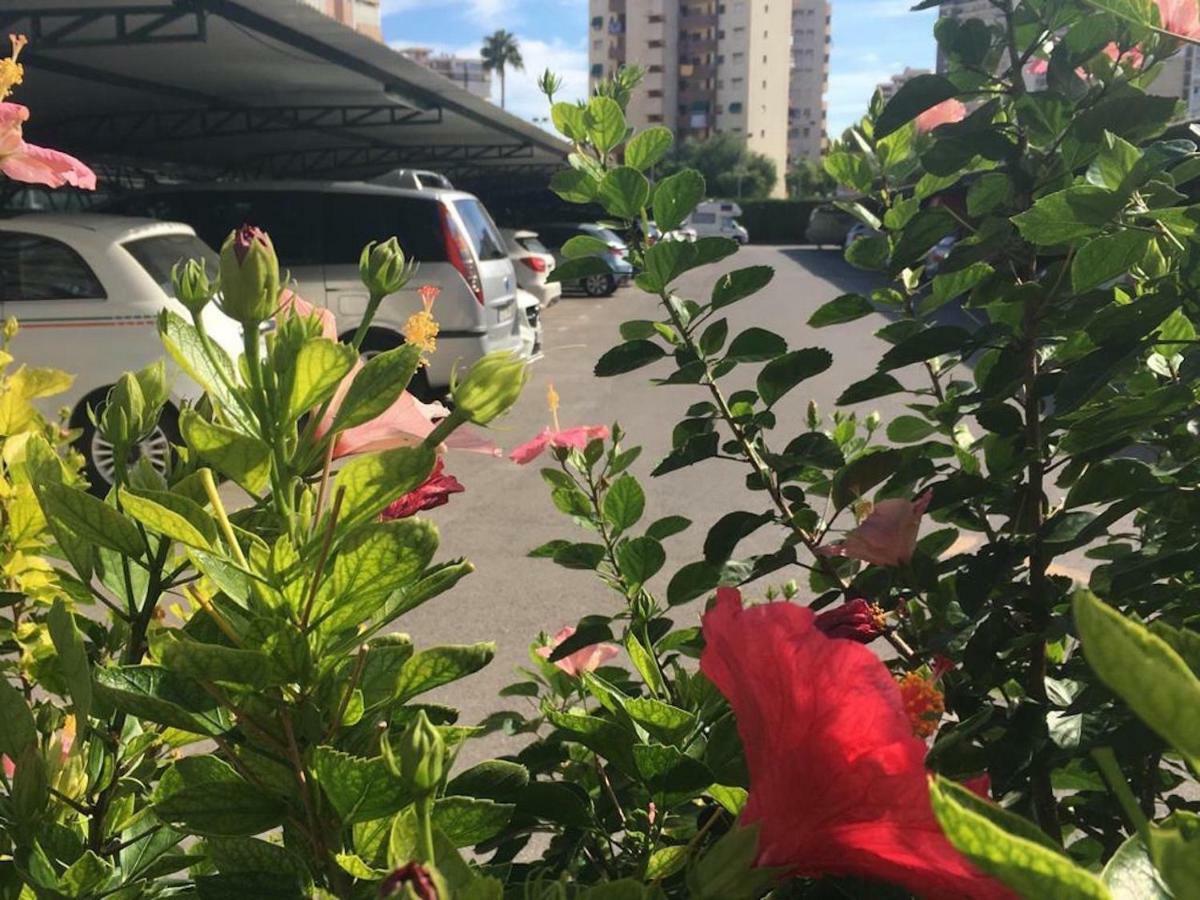 Apartament Family And Friends - San Juan Playa Alicante Zewnętrze zdjęcie